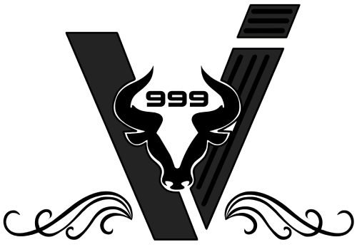 VIINDHYA GROUP